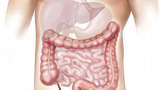 小腸大腸